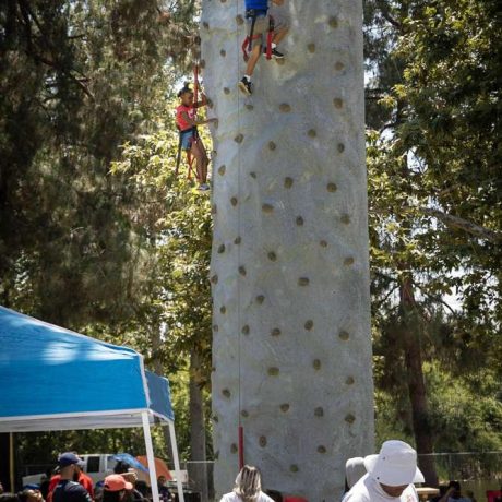 kid at top of rock-climbing wall