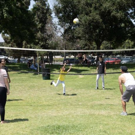 people playing volleyball