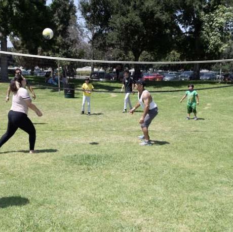 people playing volleyball