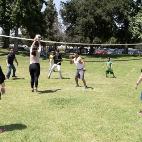 people playing volleyball on grass on a sunny day