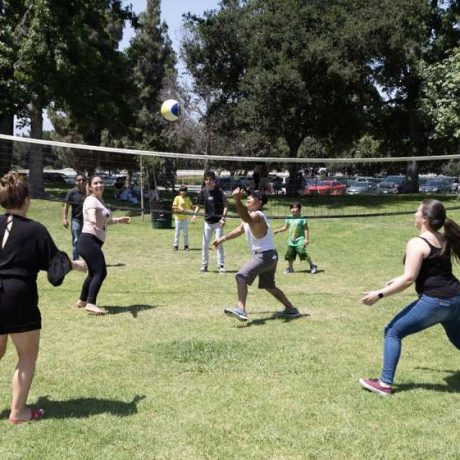 people playing volleyball