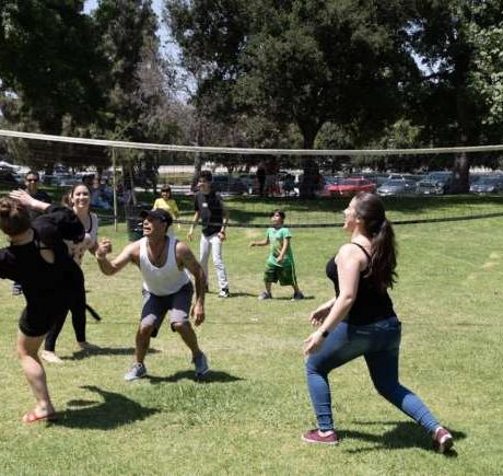 people playing volleyball