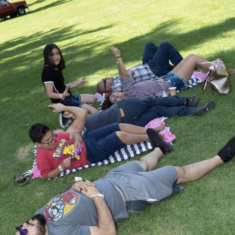 people relaxing on grass at park