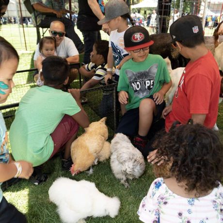 kids smiling petting different types of chickens