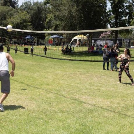 people playing volleyball on grass