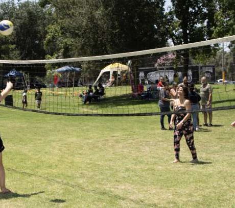 people playing volleyball