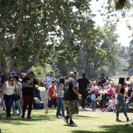 wide shot of picnic activities and large turnout of many people