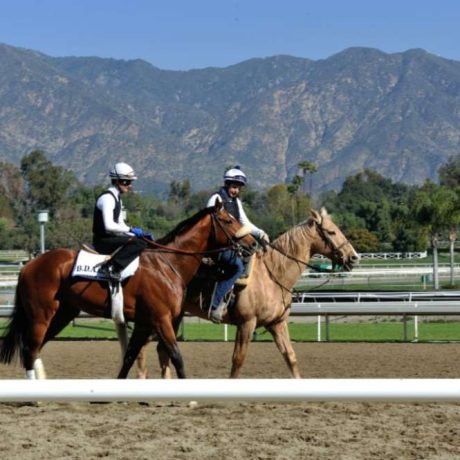 horses and riders on racetrack