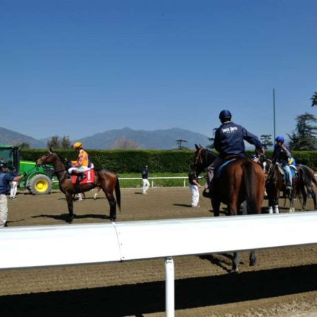 horses and riders on racetrack
