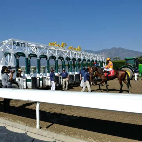 starting gate on racetrack with horse and rider
