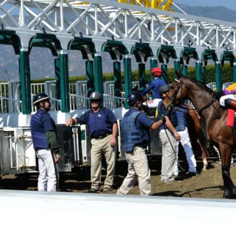 horse and rider being led on track