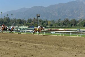 horseback race