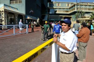 man standing at fence barrier watching horses