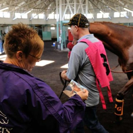 people standing with horse inside